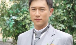 港台男星爆料事件视频,揭秘娱乐圈不为人知的秘密